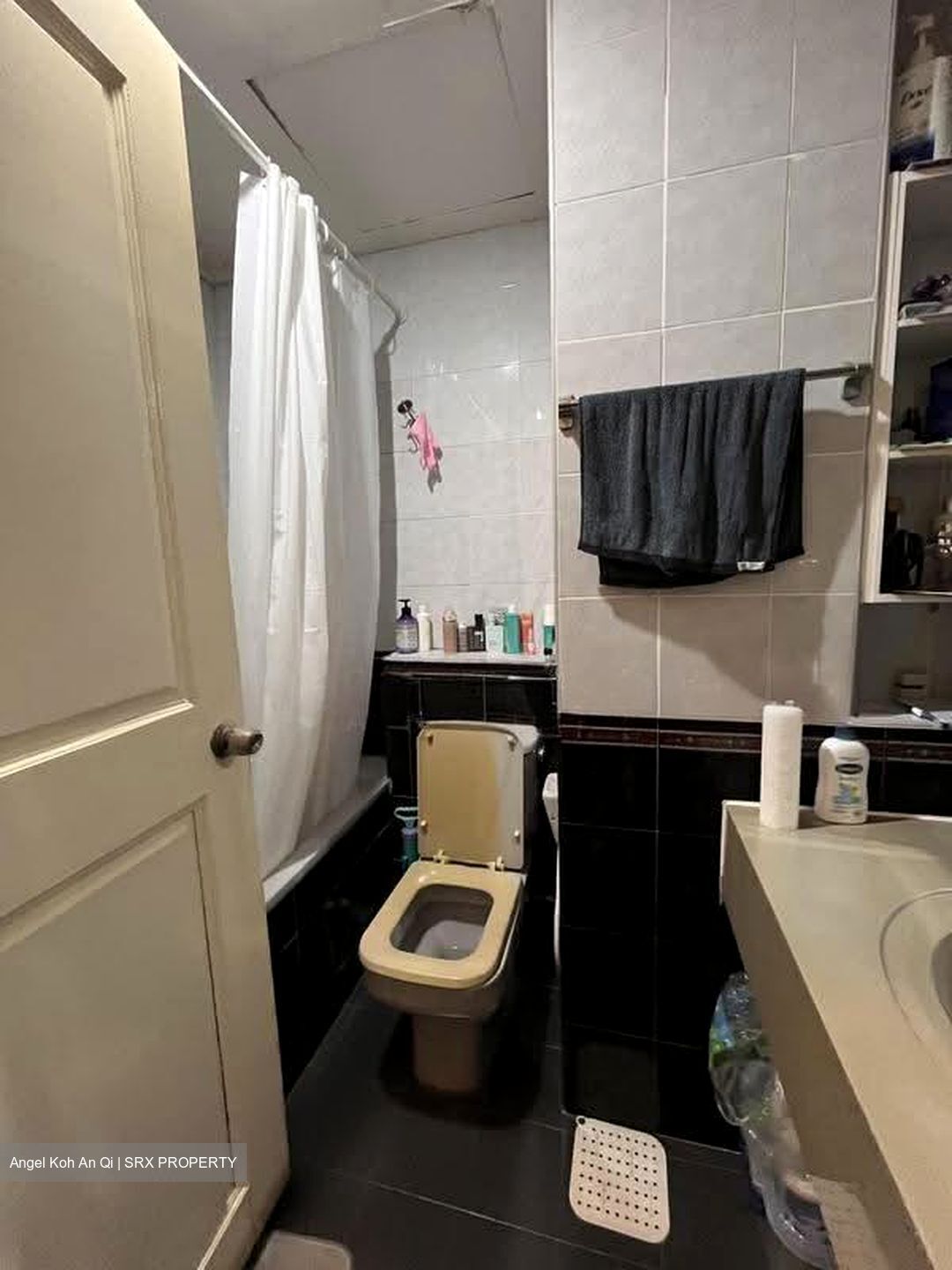Harbour View Towers (D4), Condominium #612907251